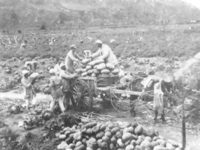 一支英雄的部队!_南泥湾