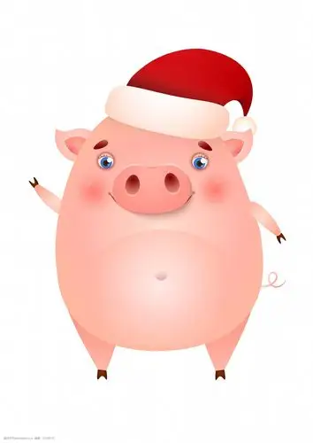 可爱戴帽子的卡通猪