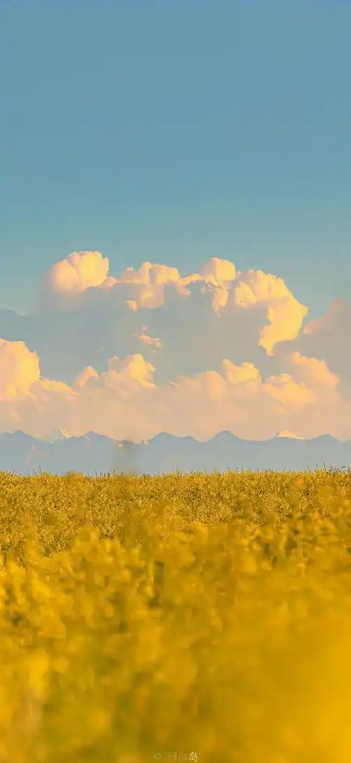 会被别人夸好看的壁纸