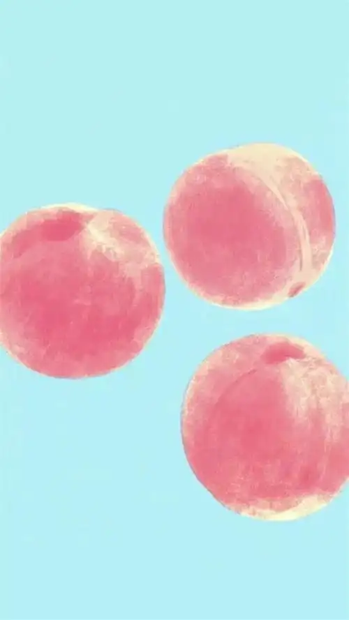 水果桃子可爱插画