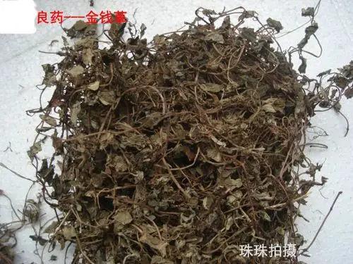 野生金钱草排茶落地金钱铜钱草连钱草正品中草药材干500克