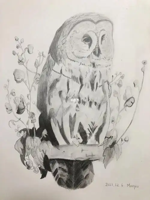 9岁素描_素描_绘画_日本攻略_儿童画_画画_兴趣爱好_绘画