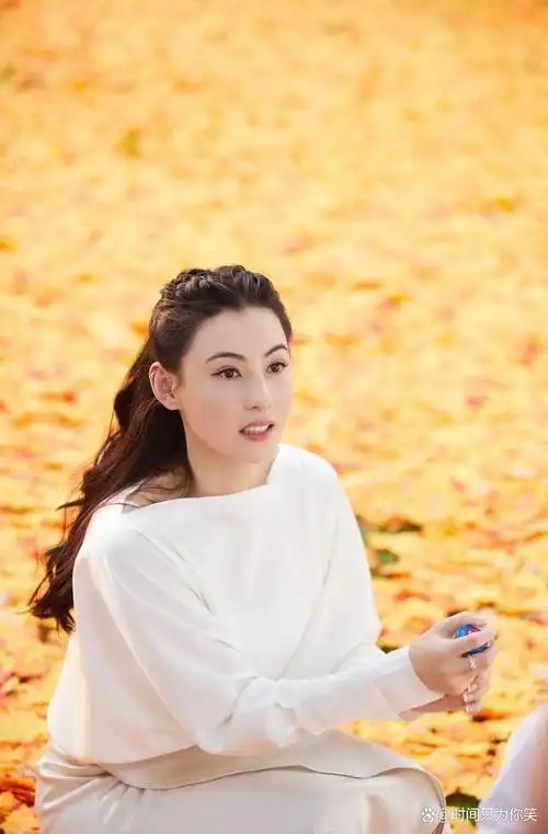 张柏芝婚姻覆舟三孩独立,感情起伏终看开现今只求家庭生活美满