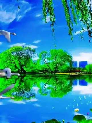 碧水蓝天 #鸟语花香人间仙境 #山青水秀好地方 #美在山水间 #仙气