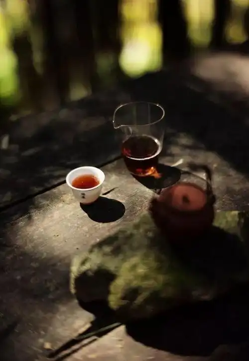 意境看书喝茶世界与我无关