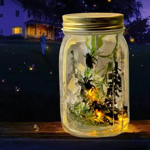 唯美浪漫萤火虫罐/不可思议发光瓶