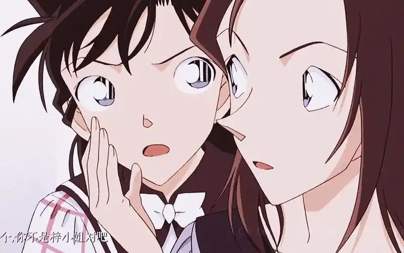 【贝兰】【贝尔摩德x毛利兰】甜蜜的痛苦||橘子车慎入_哔哩哔哩_bili