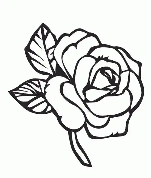 花朵简笔画图片大全简单又好看