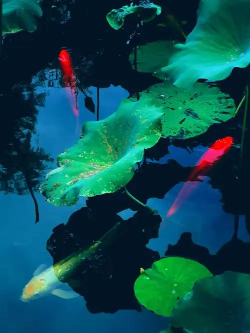 900_1200竖版 竖屏