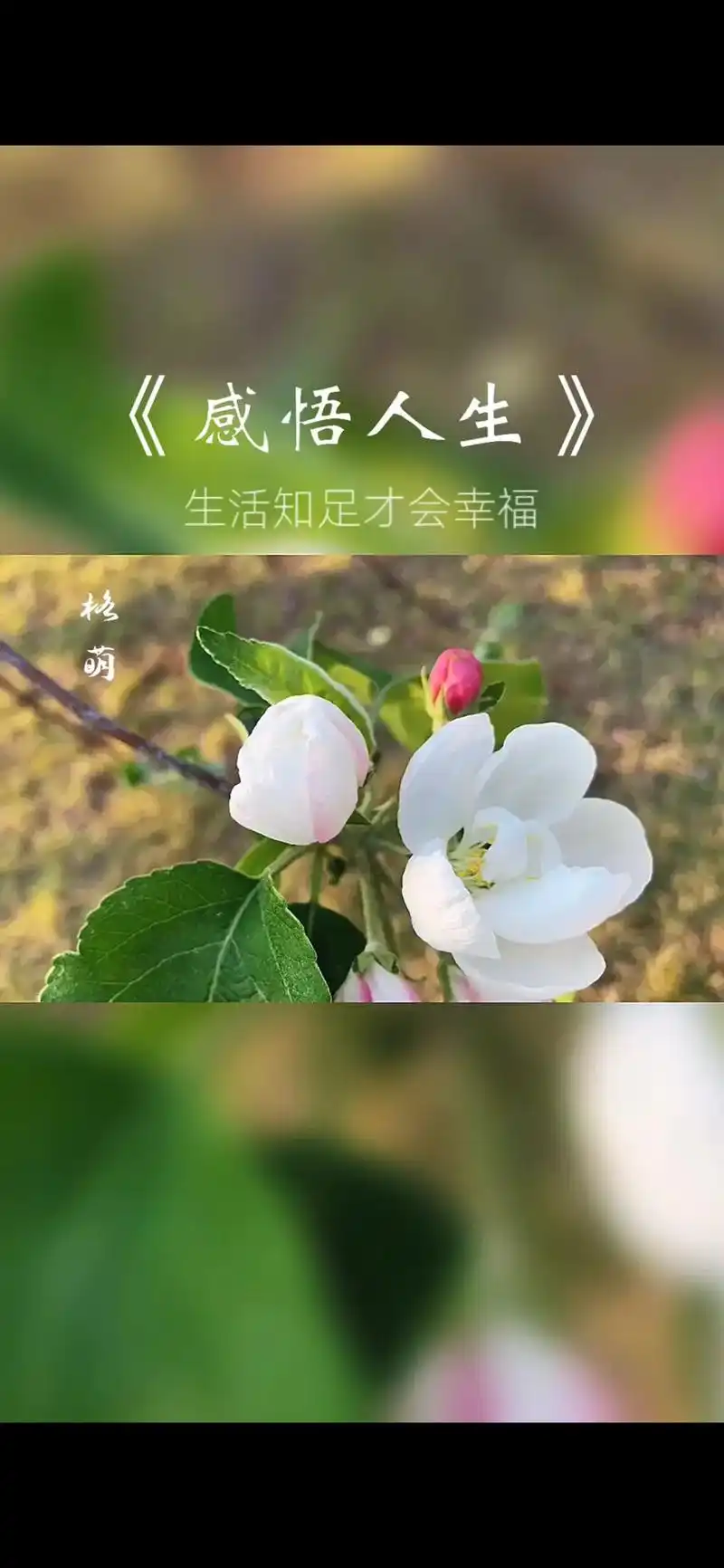 图文来了 #感悟人生  生活知足才会幸福 人心简单就会快乐 - 抖音