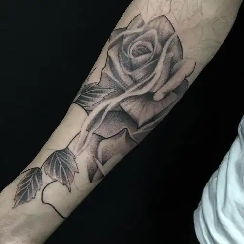 常先生小臂写实玫瑰纹身图案