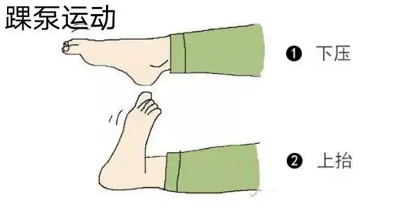 产后4～7天,妈妈们应该加做下肢的屈伸动作及缩肛运动,有利于下肢和