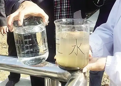 经湖北十堰市武当山特区污水处理厂处理前后的水质对比.