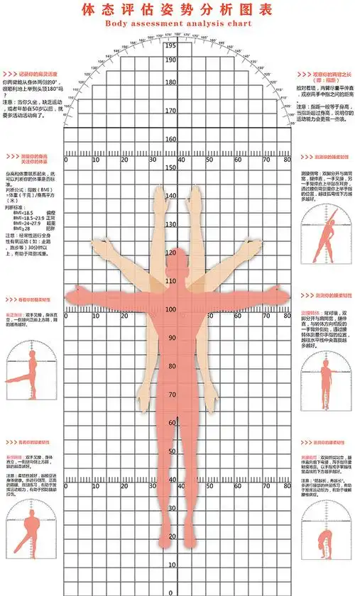 多功能体态评估表瑜伽私教专用体位图健身房体姿体测评估表比对图
