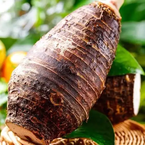 广西荔浦芋头新鲜蔬菜9斤香芋现挖当季大芋头整箱魔芋奶芋包邮10