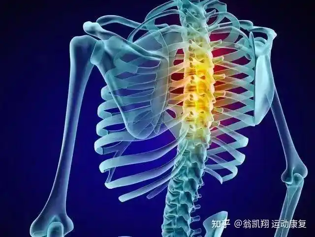 一,按压后背引起胸椎出现疼痛的原因