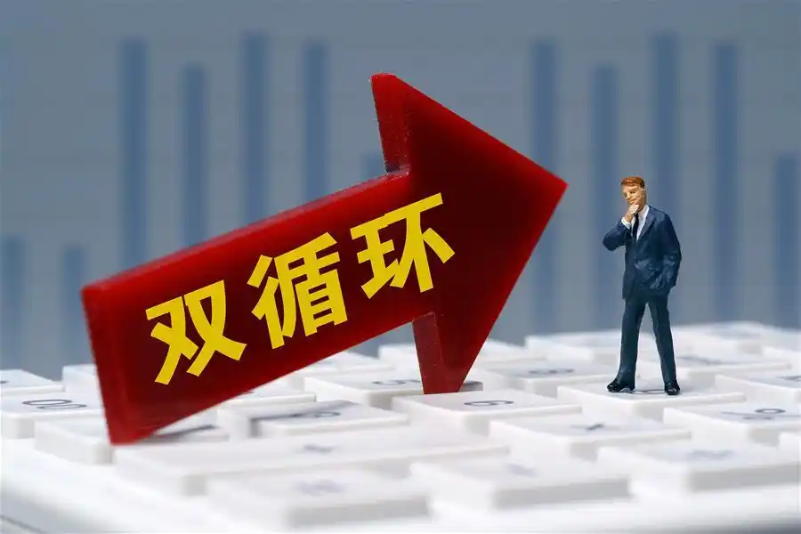 刘元春要解决双循环战略的短板问题行业要有备胎方案