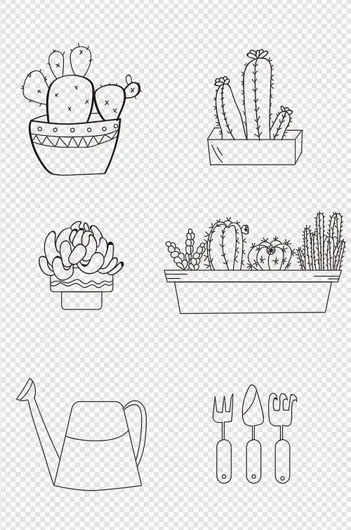 手绘多肉仙人掌盆摘简笔画海报设计免扣元素