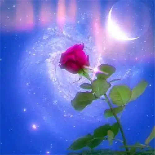 适合永久做头像的图片唯美100张_微信头像_头像屋