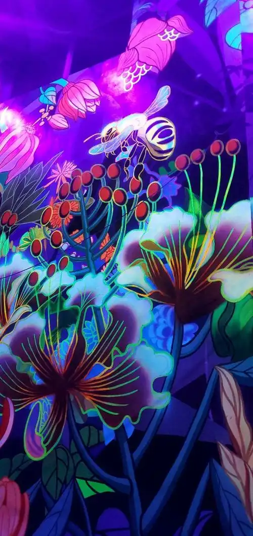 高档夜光画商场地铁荧光画文化街墙绘