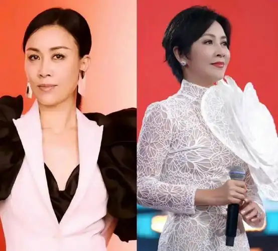 刘嘉玲prestige封面撞脸那英