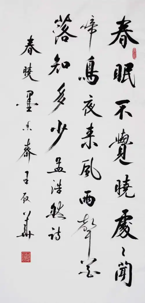 王殿华书法作品欣赏——中华诗词 - 美篇