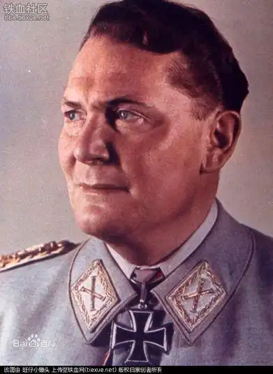 纳粹德国前十号人物都有谁?二战德国十大著名将领