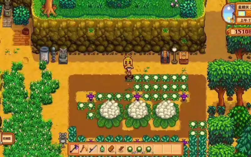 《星露谷物语系列》 日常篇之巨型花椰菜