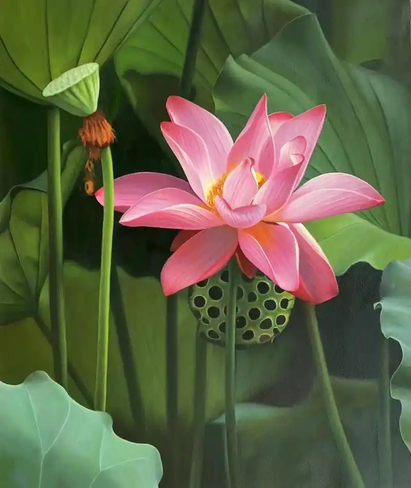 写实油画《荷》欣赏 #油画 #艺术品 #花鸟画  - 抖音