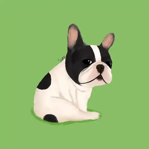 彩底法斗兄弟团