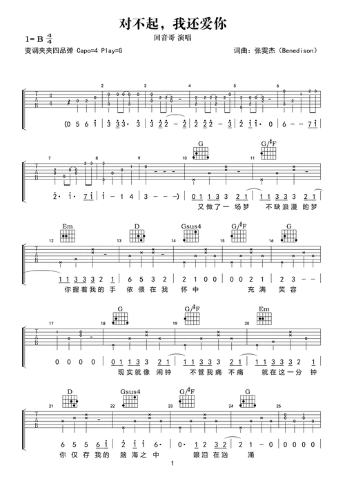 回音哥对不起我还爱你吉他谱g调