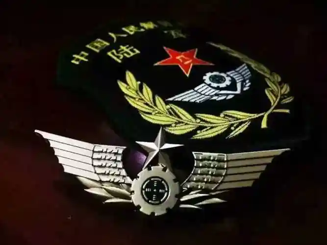 解放军陆军新胸标设计是什么意思?