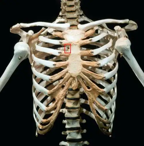 胸椎右边按压疼痛