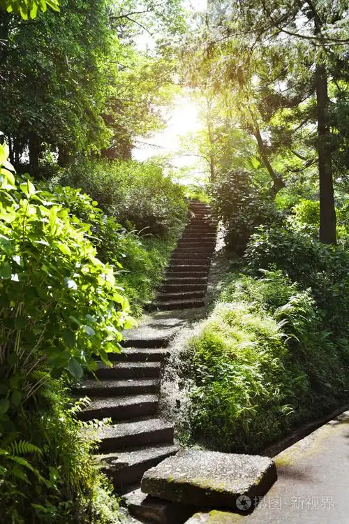 在公园的石台阶