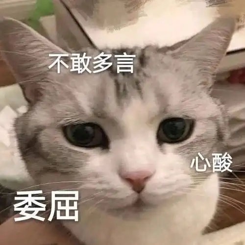 不必多言委屈心酸猫咪多言猫咪不必委屈心酸表情