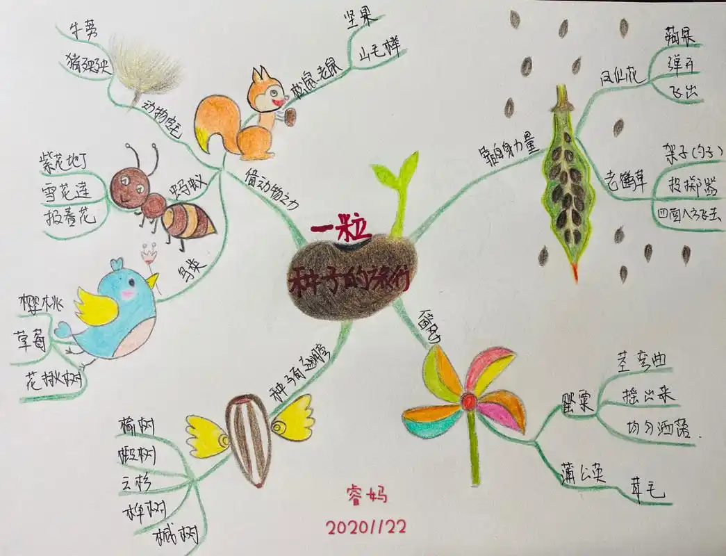巜一粒种子的旅行》思维导图 我是睿妈96,我的第一次05,很认真的
