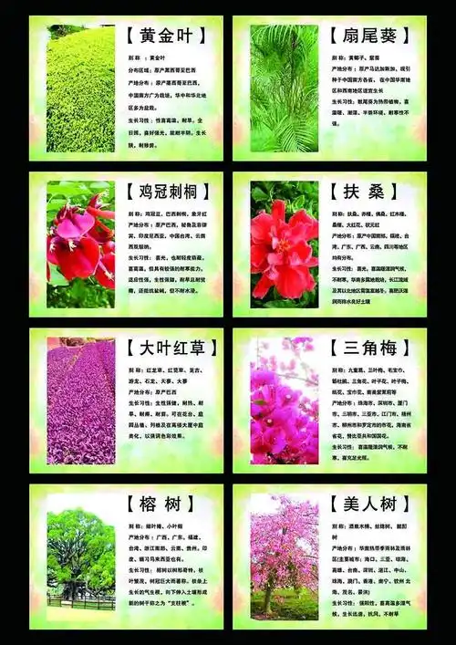 植物简介展板免费下载(图片编号:5619976)_六图网16pic.com