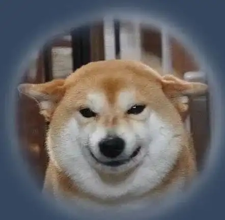 狗的头像图片微信霸气 头像图片可爱呆萌_布阁拉