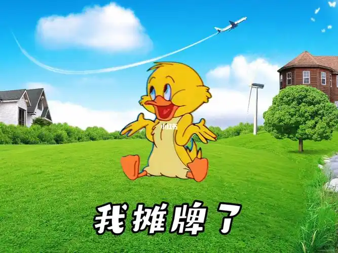 不装了我摊牌了