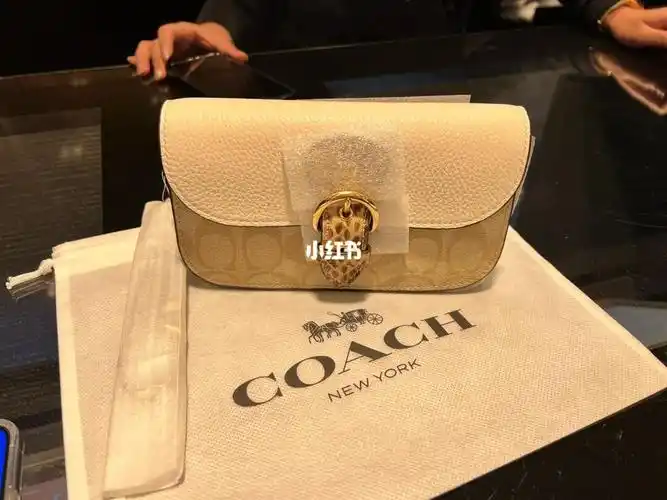 coach新款链条包