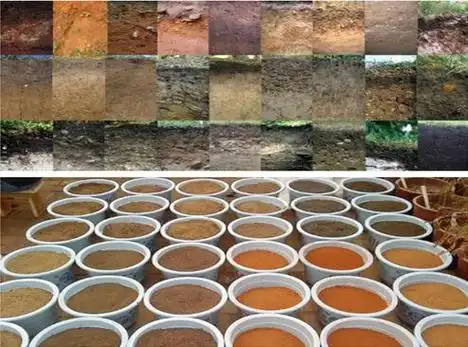 颜色各异的土壤