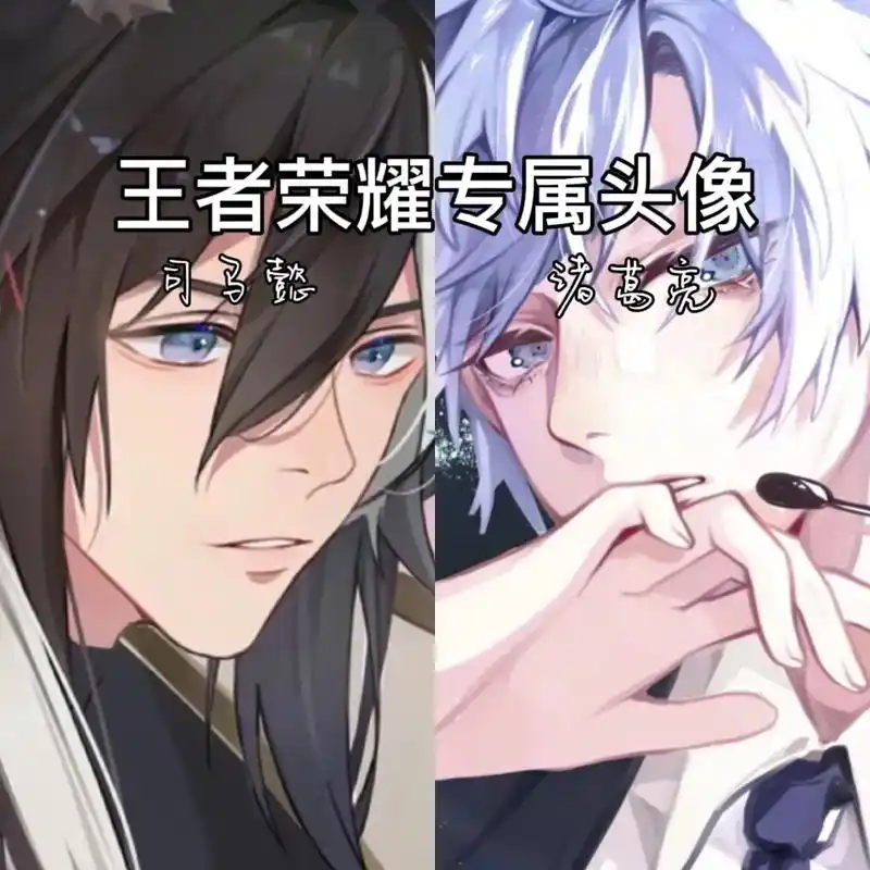 你为谁举大旗#优质头像 #王者头像 #司马懿#诸葛 - 抖音