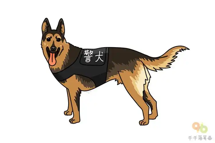 昆明犬简笔画