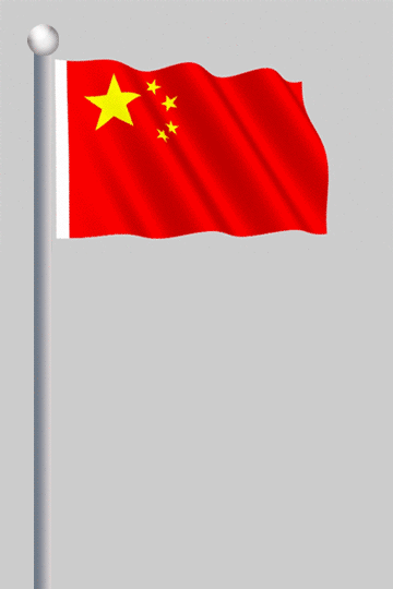 v5中国,伦敦摄政街上五星红旗第一排啊