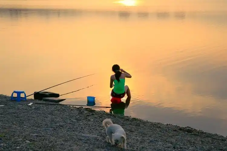 学习钓鱼的女孩20日莲石湖