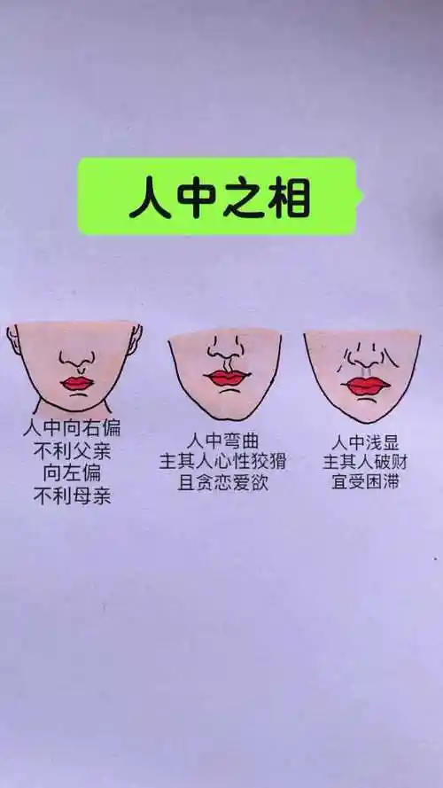 人中形状如水滴最好