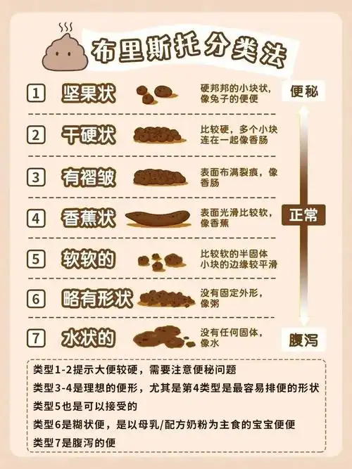 正常大便含水分占80%,其余主要是食物残渣,还有大量的共生细菌.