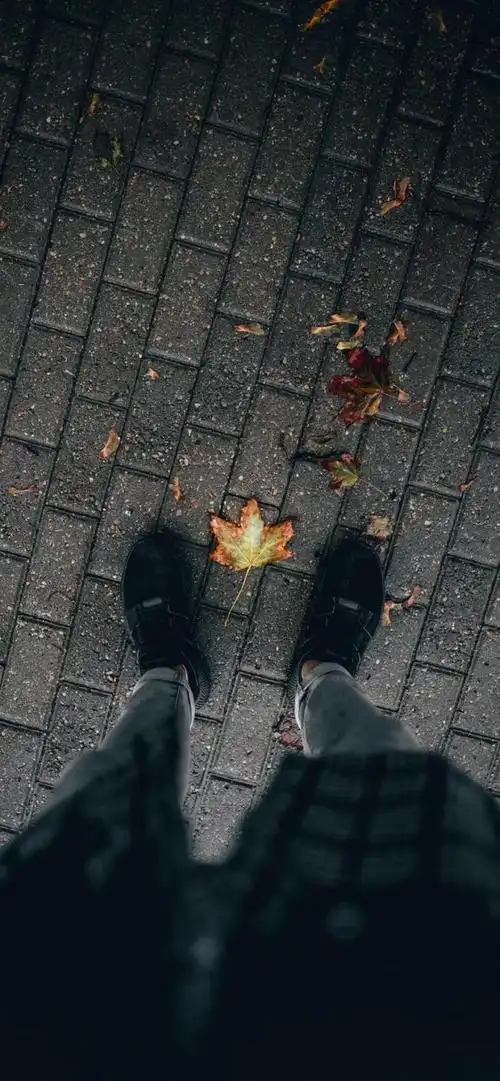 快手最火图片壁纸快手热门壁纸