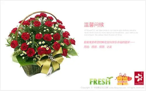 鲜花_温馨问候_50枝红康乃馨,小菊,绿叶-花礼网