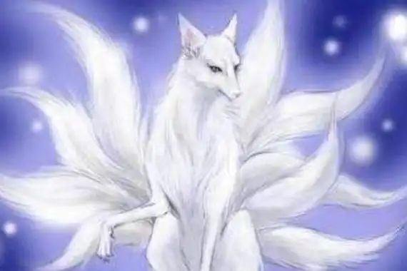 九尾狐真的存在吗传说中的九尾狐是妖还是神